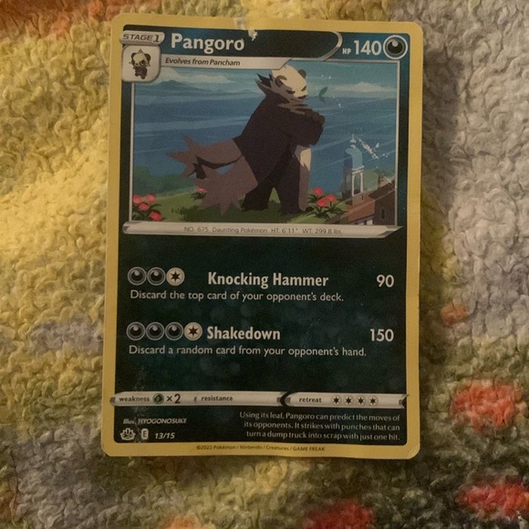 Pancham, Pangoro - Picture 2 of 2